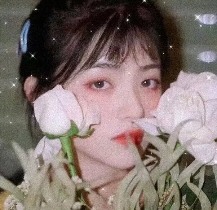 女子须知